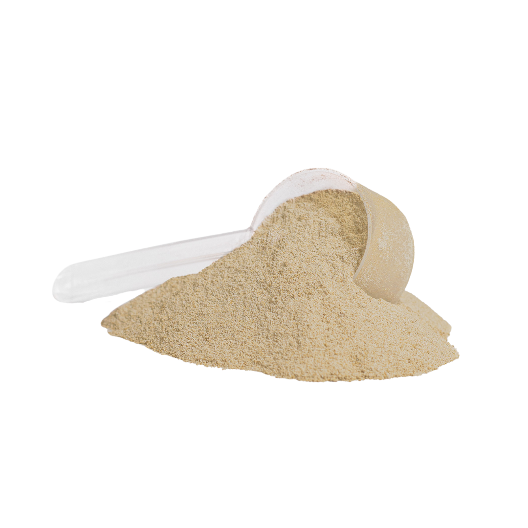 GET PROTEIN (Vanilla)