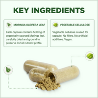 GET MORINGA